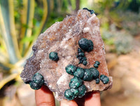 Natural Ball Malachite and Drusy Quartz On Dolomite Matrix Specimens x 6 From Kambove, Congo