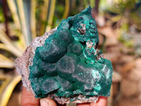 Natural Ball Malachite and Drusy Quartz On Dolomite Matrix Specimens x 6 From Kambove, Congo