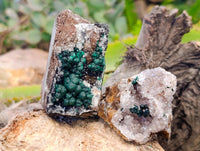 Natural Ball Malachite and Drusy Quartz On Dolomite Matrix Specimens x 6 From Kambove, Congo