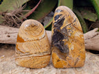 Polished Picture Stone Jasper Standing Free Forms x 2 From Northwest Coast, Madagascar - Toprock Gemstones and Minerals 