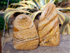Polished Picture Stone Jasper Standing Free Forms x 2 From Northwest Coast, Madagascar - Toprock Gemstones and Minerals 