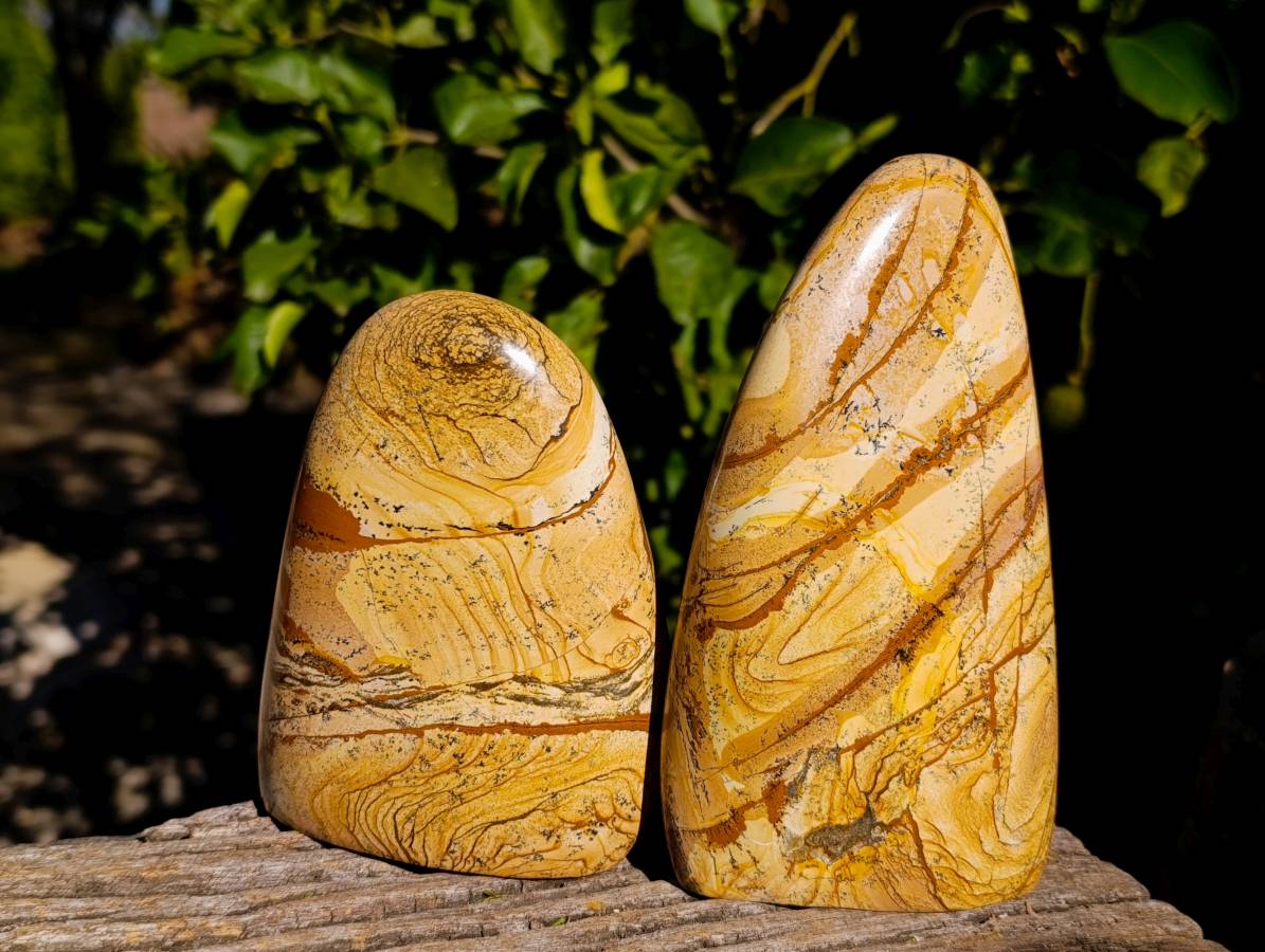 Polished Picture Stone Jasper Standing Free Forms x 2 From Northwest Coast, Madagascar - Toprock Gemstones and Minerals 