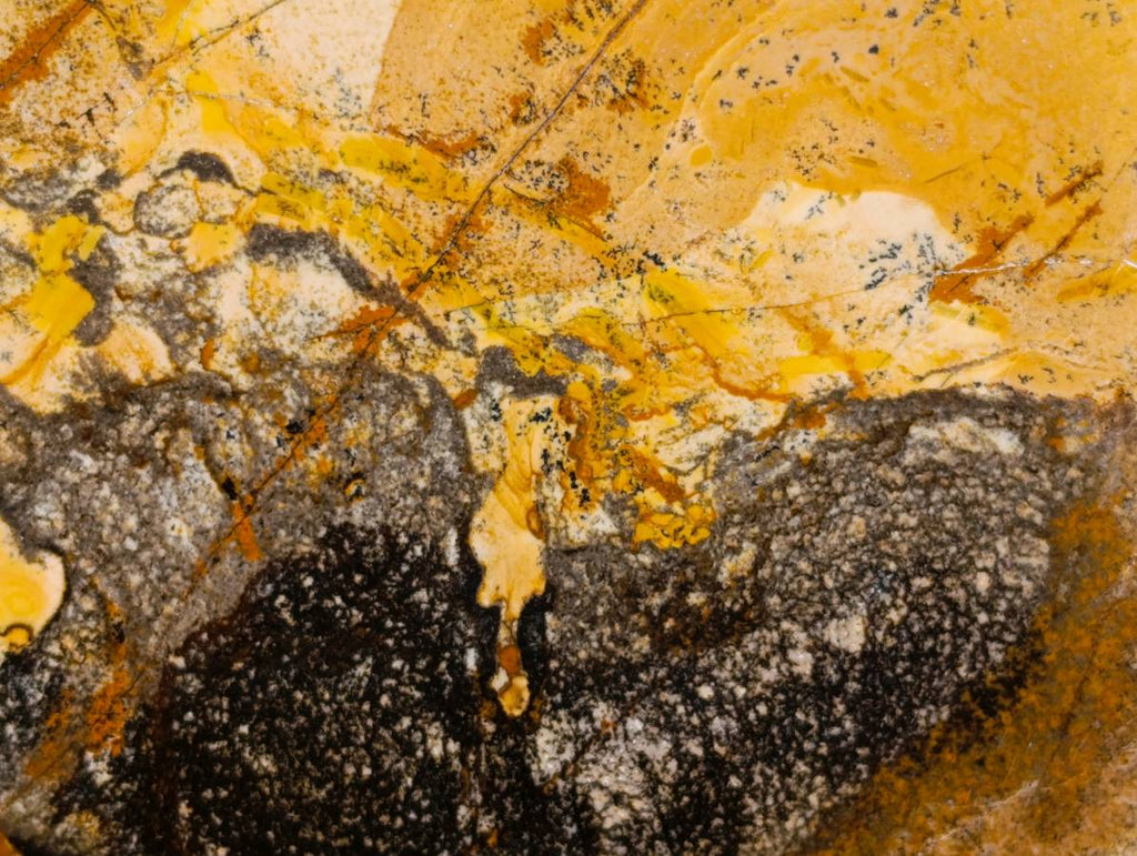 Polished Picture Stone Jasper Standing Free Forms x 2 From Northwest Coast, Madagascar - Toprock Gemstones and Minerals 