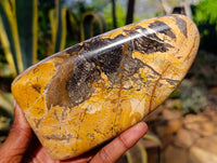 Polished Picture Stone Jasper Standing Free Forms x 2 From Northwest Coast, Madagascar - Toprock Gemstones and Minerals 