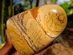 Polished Picture Stone Jasper Standing Free Forms x 2 From Northwest Coast, Madagascar - Toprock Gemstones and Minerals 