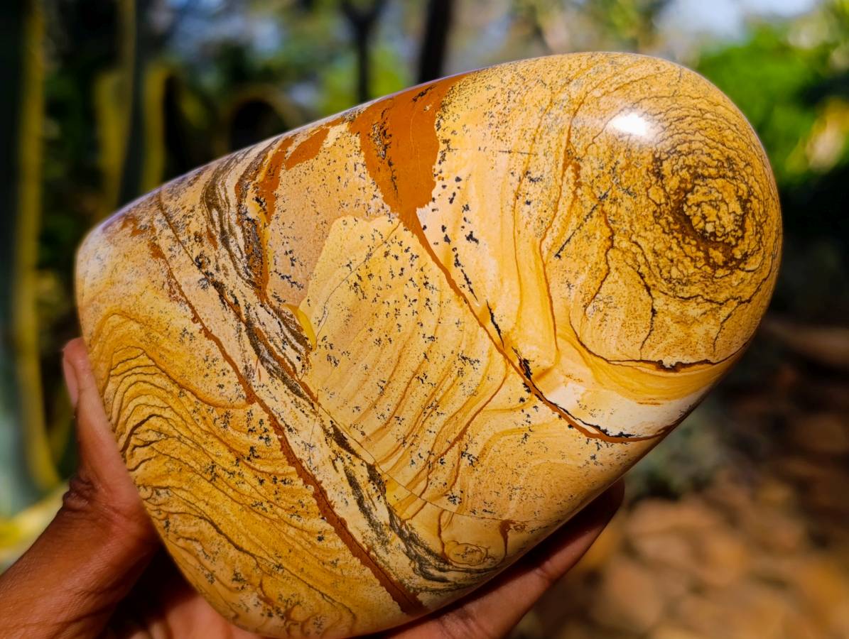 Polished Picture Stone Jasper Standing Free Forms x 2 From Northwest Coast, Madagascar - Toprock Gemstones and Minerals 