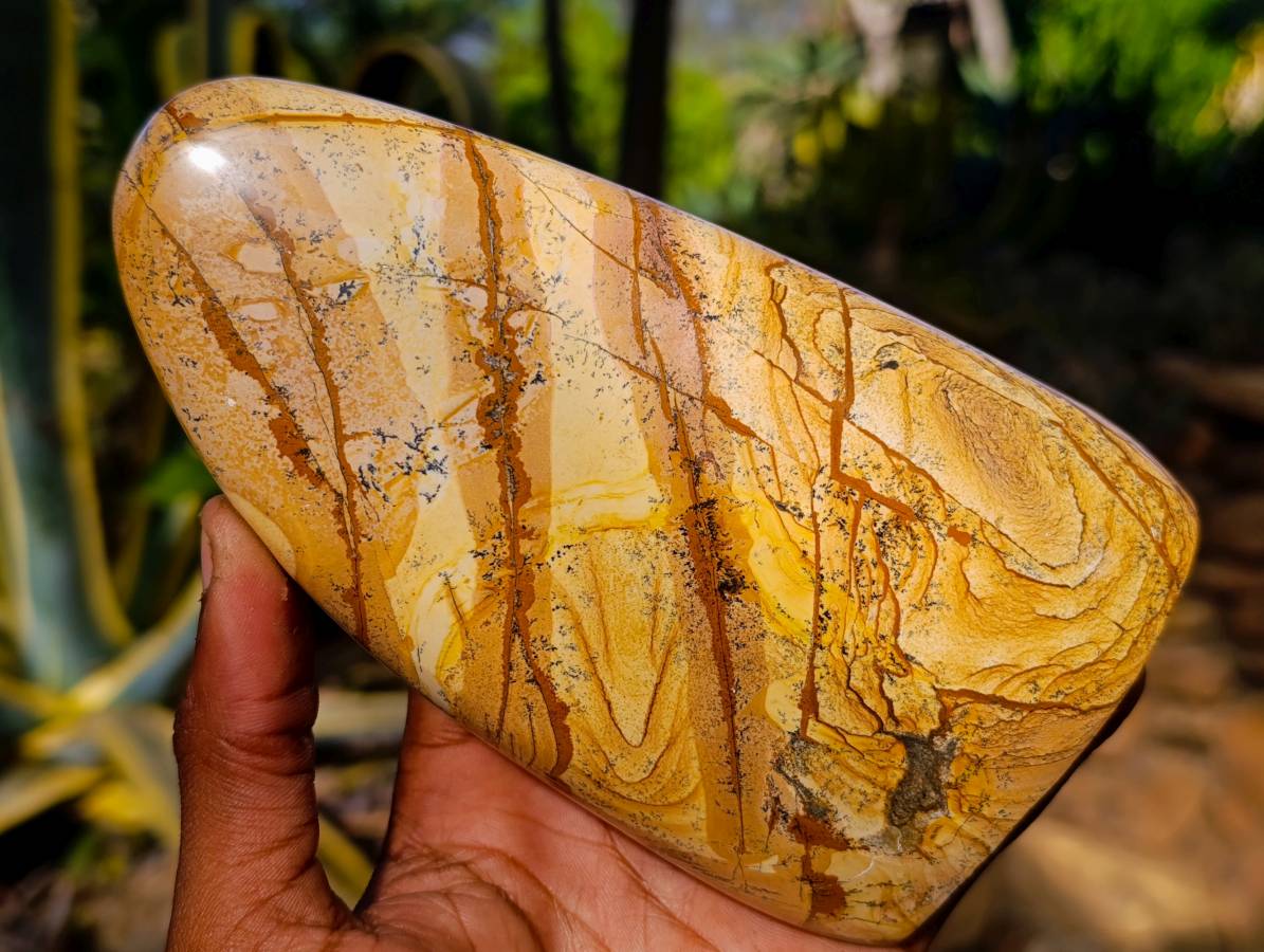 Polished Picture Stone Jasper Standing Free Forms x 2 From Northwest Coast, Madagascar - Toprock Gemstones and Minerals 