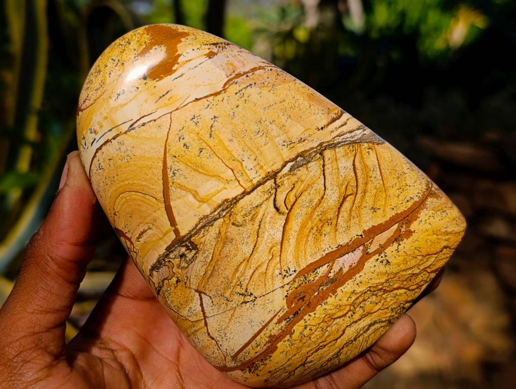 Polished Picture Stone Jasper Standing Free Forms x 2 From Northwest Coast, Madagascar - Toprock Gemstones and Minerals 