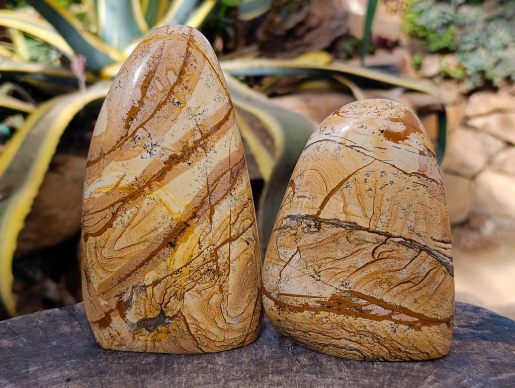 Polished Picture Stone Jasper Standing Free Forms x 2 From Northwest Coast, Madagascar - Toprock Gemstones and Minerals 