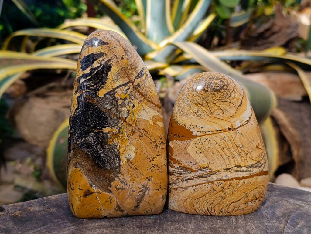 Polished Picture Stone Jasper Standing Free Forms x 2 From Northwest Coast, Madagascar - Toprock Gemstones and Minerals 