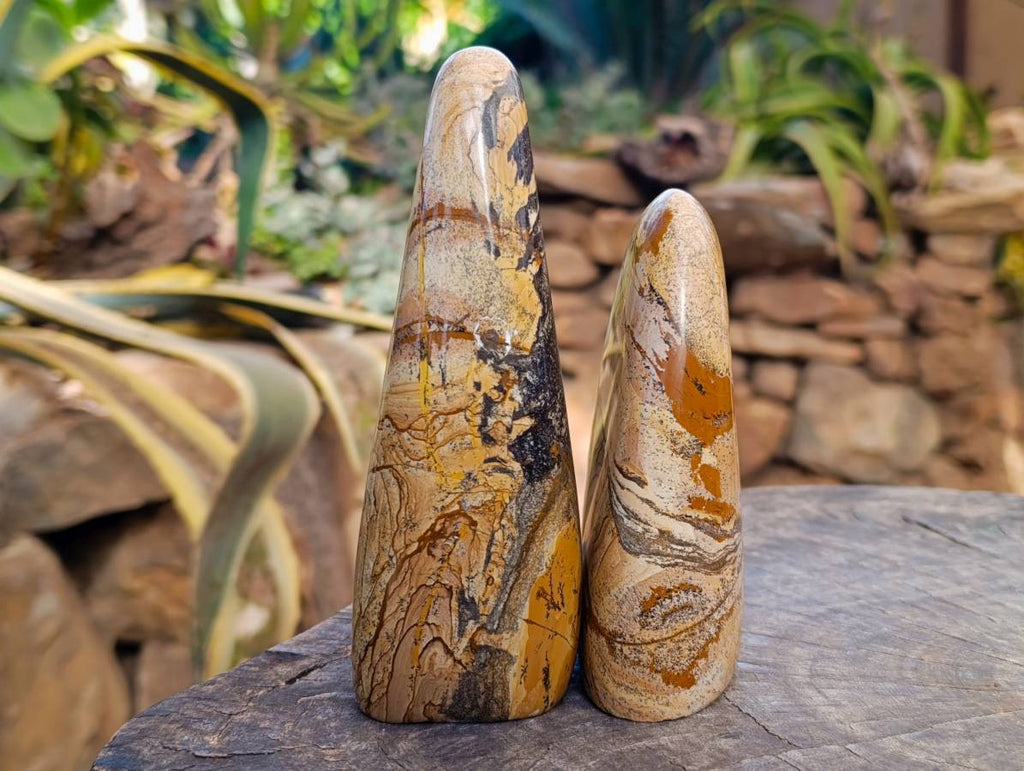 Polished Picture Stone Jasper Standing Free Forms x 2 From Northwest Coast, Madagascar - Toprock Gemstones and Minerals 