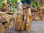 Polished Picture Stone Jasper Standing Free Forms x 2 From Northwest Coast, Madagascar - Toprock Gemstones and Minerals 