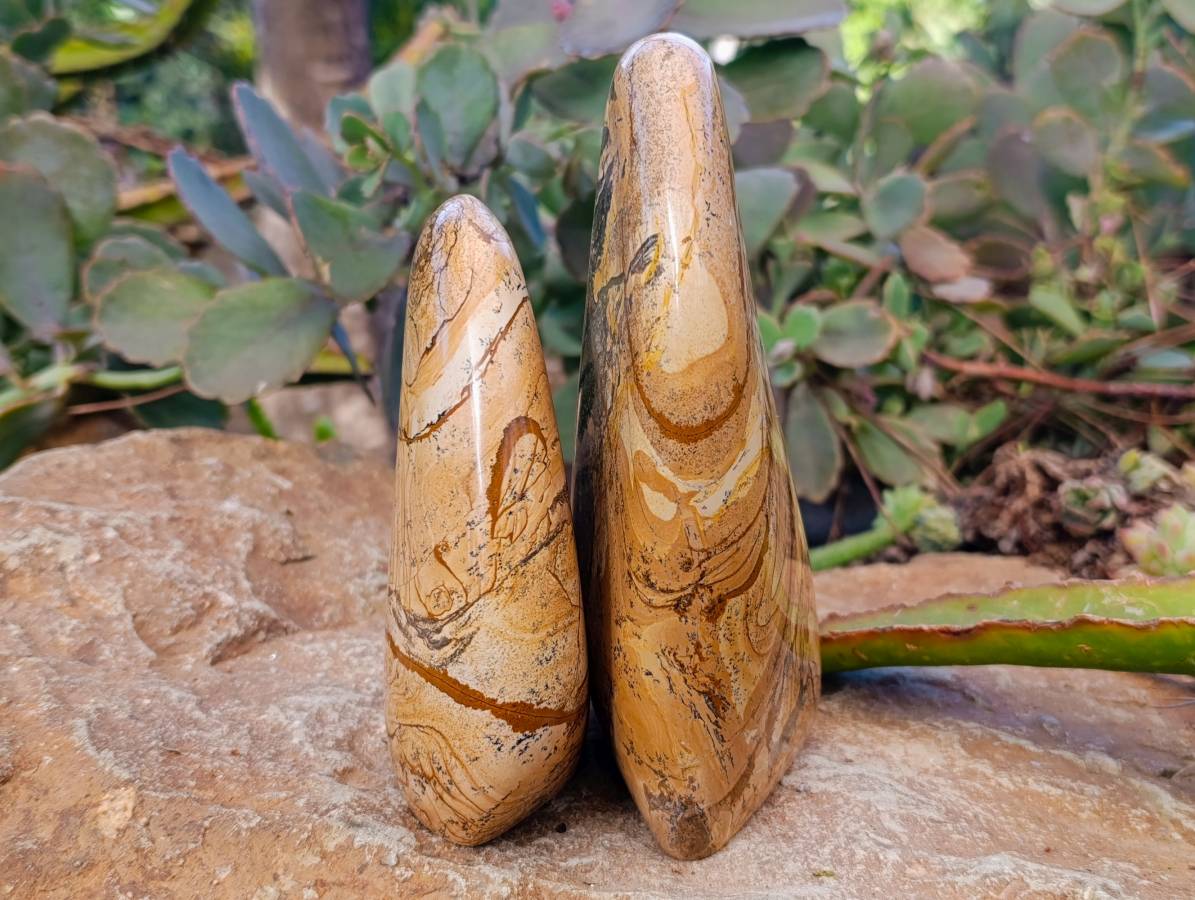 Polished Picture Stone Jasper Standing Free Forms x 2 From Northwest Coast, Madagascar - Toprock Gemstones and Minerals 