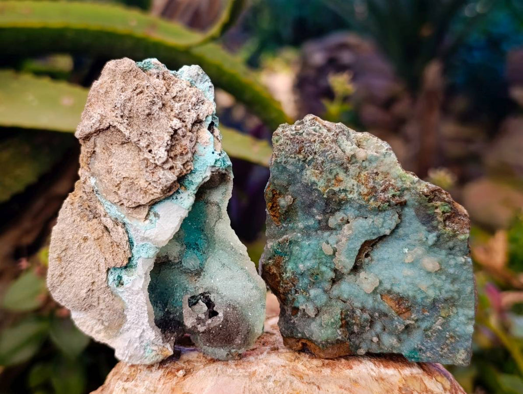 Natural Drusy Coated Chrysocolla on Dolomite Matrix Specimens x 6 From Congo - Toprock Gemstones and Minerals 