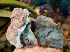 Natural Drusy Coated Chrysocolla on Dolomite Matrix Specimens x 6 From Congo - Toprock Gemstones and Minerals 
