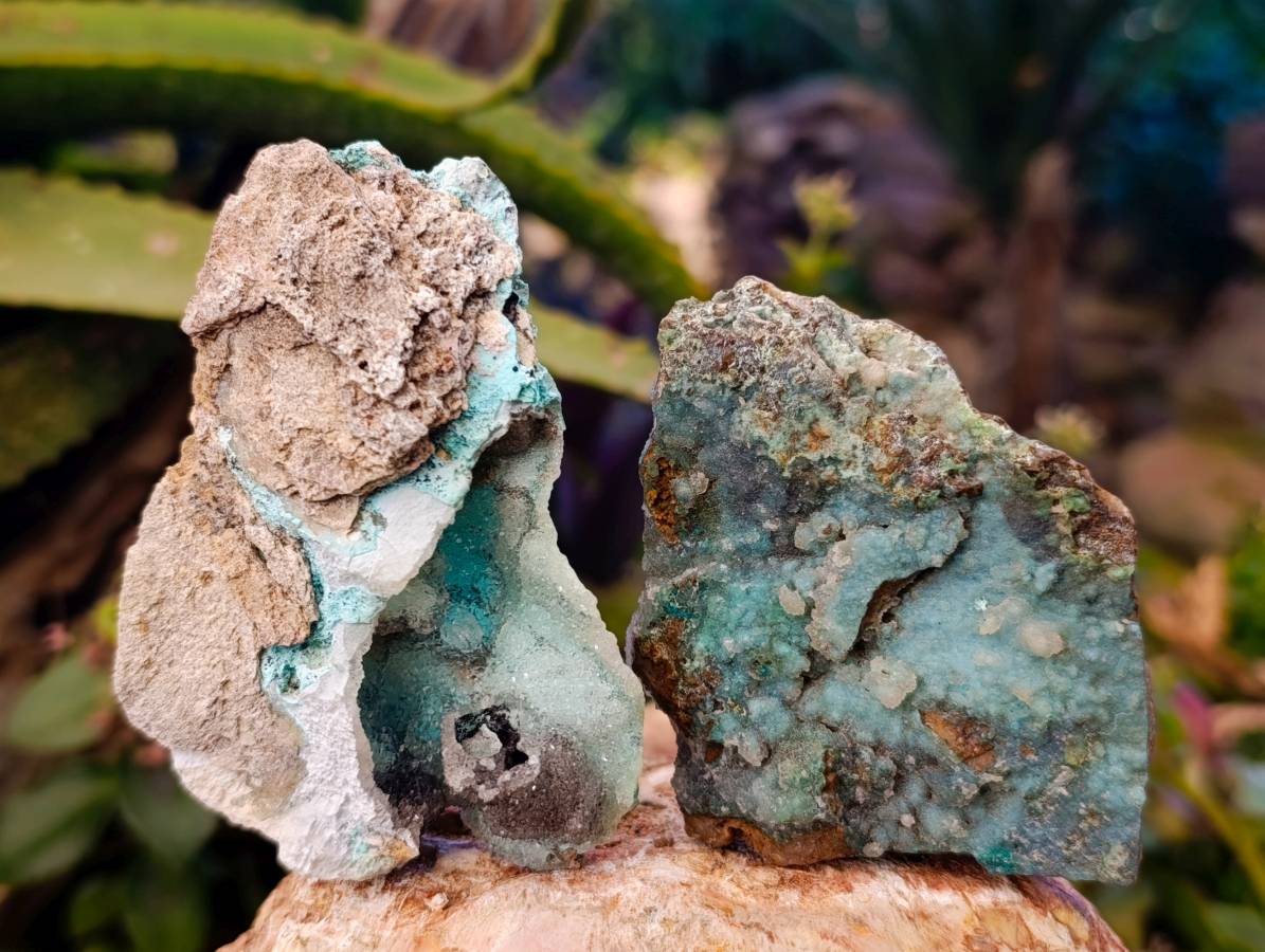 Natural Drusy Coated Chrysocolla on Dolomite Matrix Specimens x 6 From Congo - Toprock Gemstones and Minerals 