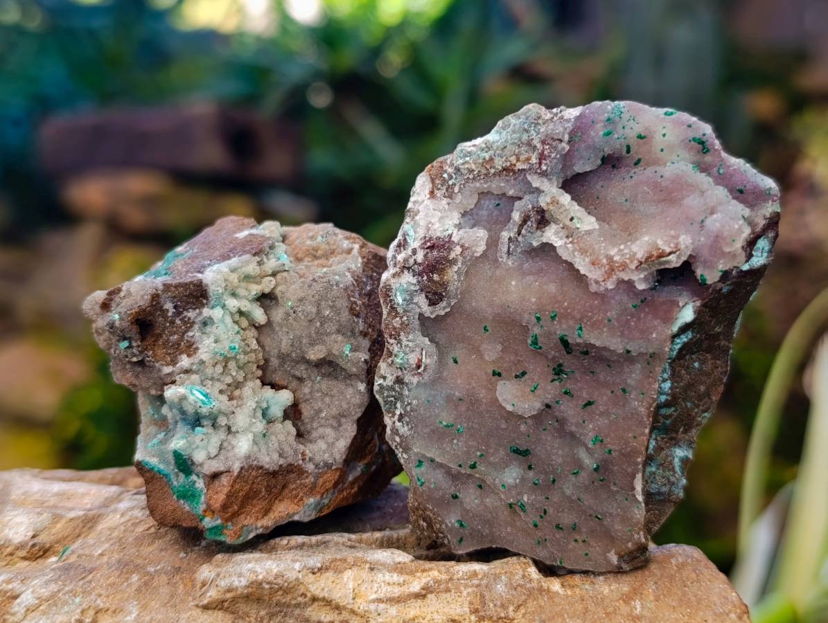 Natural Drusy Coated Chrysocolla on Dolomite Matrix Specimens x 6 From Congo - Toprock Gemstones and Minerals 