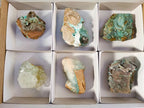 Natural Drusy Coated Chrysocolla on Dolomite Matrix Specimens x 6 From Congo - Toprock Gemstones and Minerals 