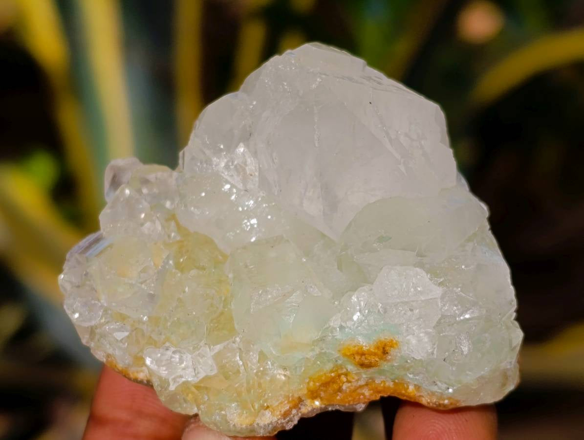 Natural Drusy Coated Chrysocolla on Dolomite Matrix Specimens x 6 From Congo - Toprock Gemstones and Minerals 