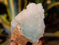 Natural Drusy Coated Chrysocolla on Dolomite Matrix Specimens x 6 From Congo - Toprock Gemstones and Minerals 