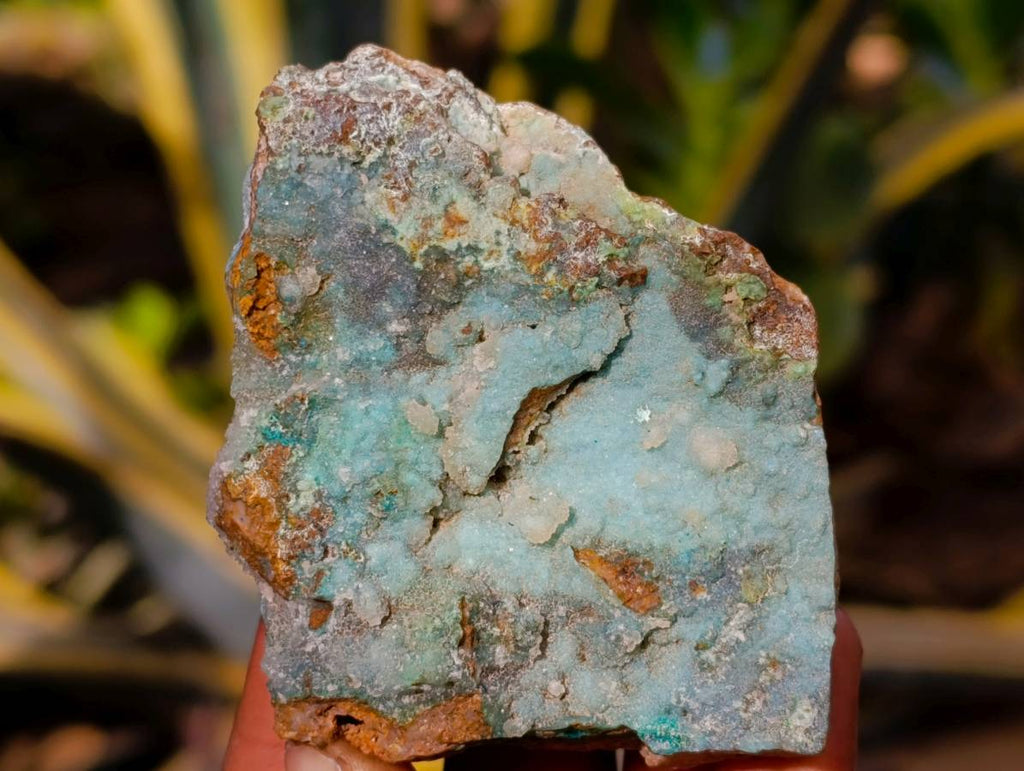 Natural Drusy Coated Chrysocolla on Dolomite Matrix Specimens x 6 From Congo - Toprock Gemstones and Minerals 