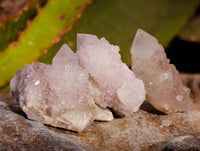 Natural Mixed Spirit Quartz Clusters x 70 From Boekenhouthoek, South Africa