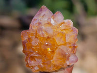 Natural Mixed Spirit Quartz Clusters x 70 From Boekenhouthoek, South Africa