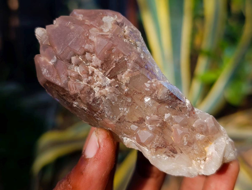 Natural Red Hematoid Quartz Clusters x 12 From Karoi, Zimbabwe - Toprock Gemstones and Minerals 
