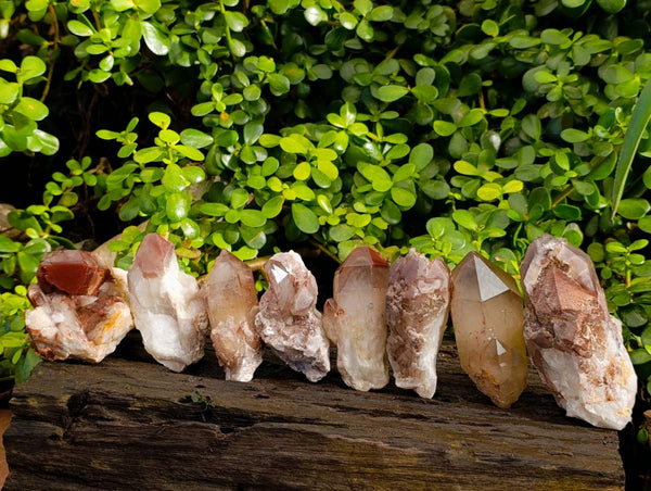 Natural Red Hematoid Quartz Clusters x 12 From Karoi, Zimbabwe