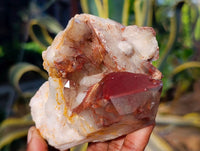 Natural Red Hematoid Quartz Clusters x 12 From Karoi, Zimbabwe