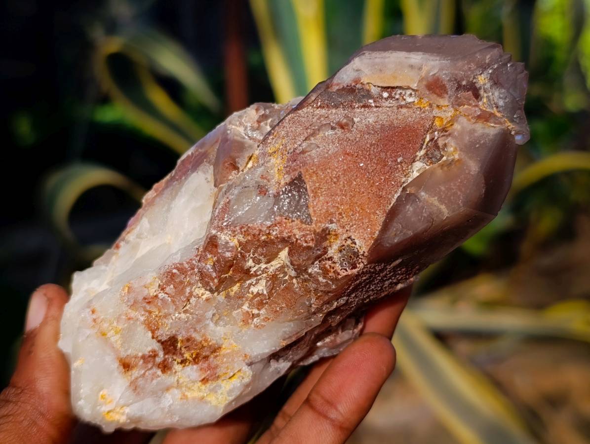 Natural Red Hematoid Quartz Clusters x 12 From Karoi, Zimbabwe - Toprock Gemstones and Minerals 