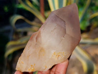Natural Red Hematoid Quartz Clusters x 12 From Karoi, Zimbabwe