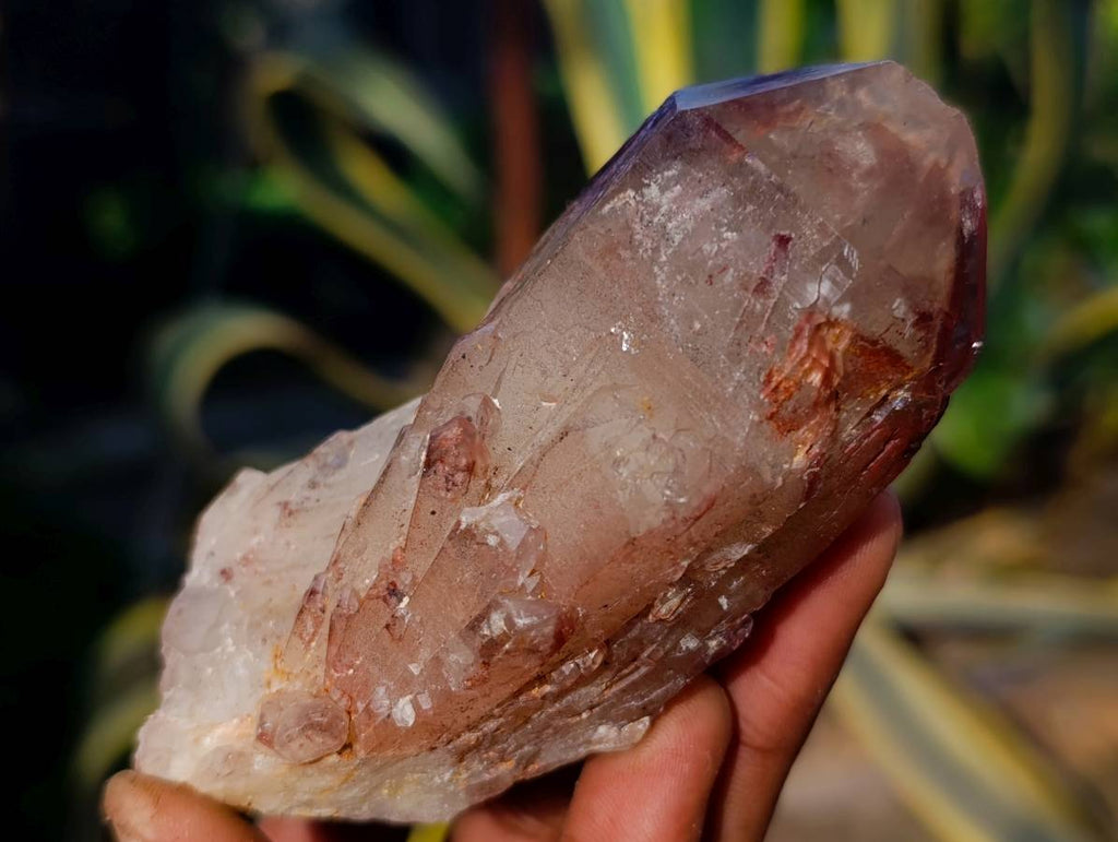 Natural Red Hematoid Quartz Clusters x 12 From Karoi, Zimbabwe - Toprock Gemstones and Minerals 