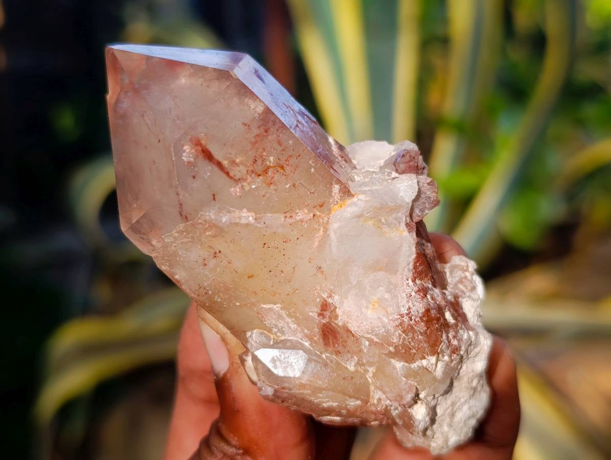 Natural Red Hematoid Quartz Clusters x 12 From Karoi, Zimbabwe - Toprock Gemstones and Minerals 