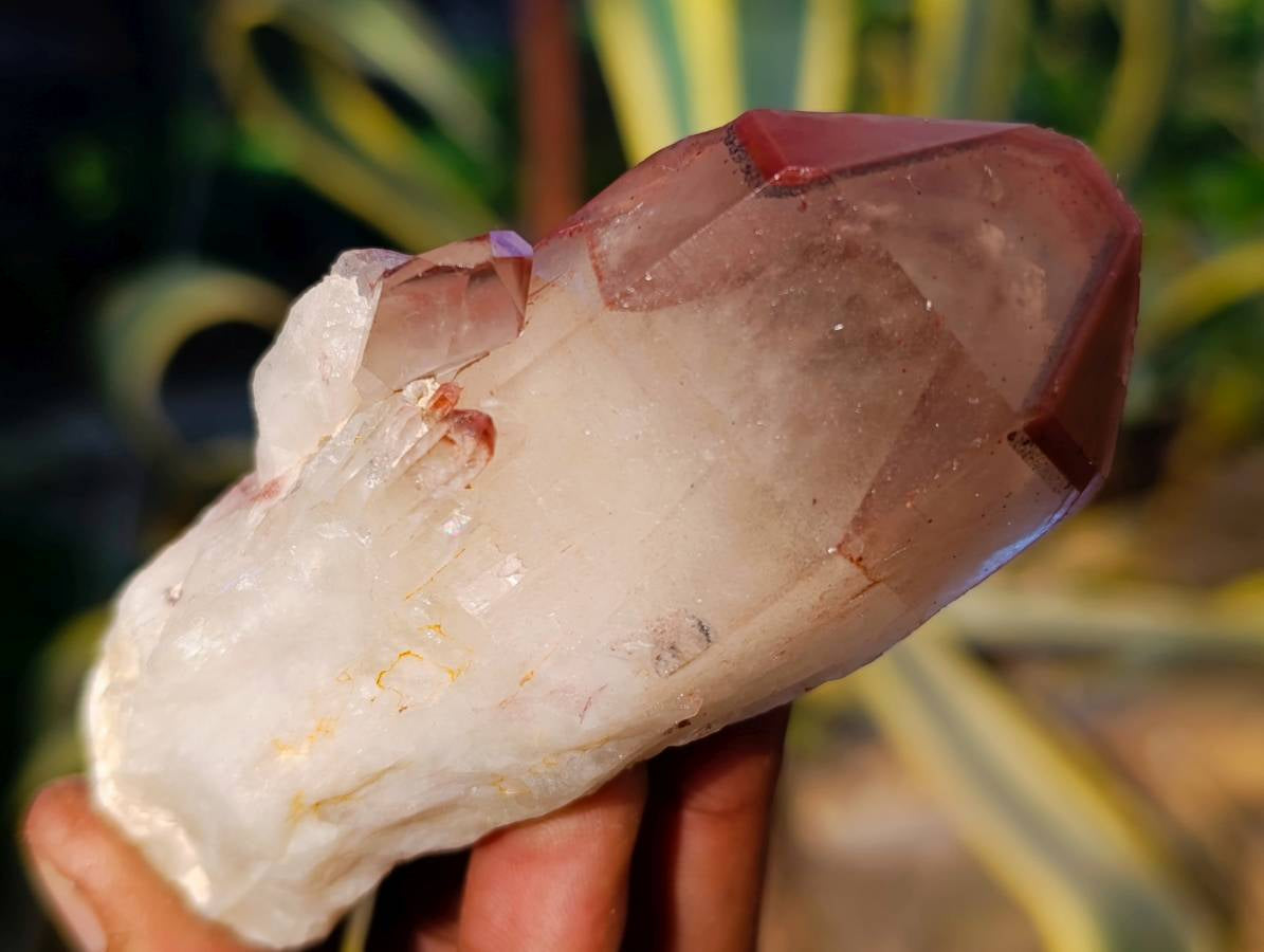 Natural Red Hematoid Quartz Clusters x 12 From Karoi, Zimbabwe - Toprock Gemstones and Minerals 