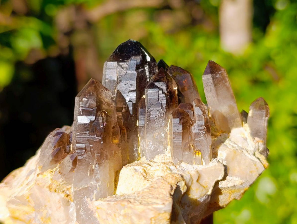 Natural Aegirine Crystals and Orthoclase Feldspar Clusters x 4 From Zomba, Malawi - Toprock Gemstones and Minerals 