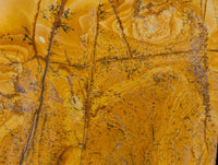 Polished Picture Stone Jasper Points x 3 From Ais-Ais, Namibia - Toprock Gemstones and Minerals 