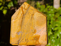 Polished Picture Stone Jasper Points x 3 From Ais-Ais, Namibia - Toprock Gemstones and Minerals 