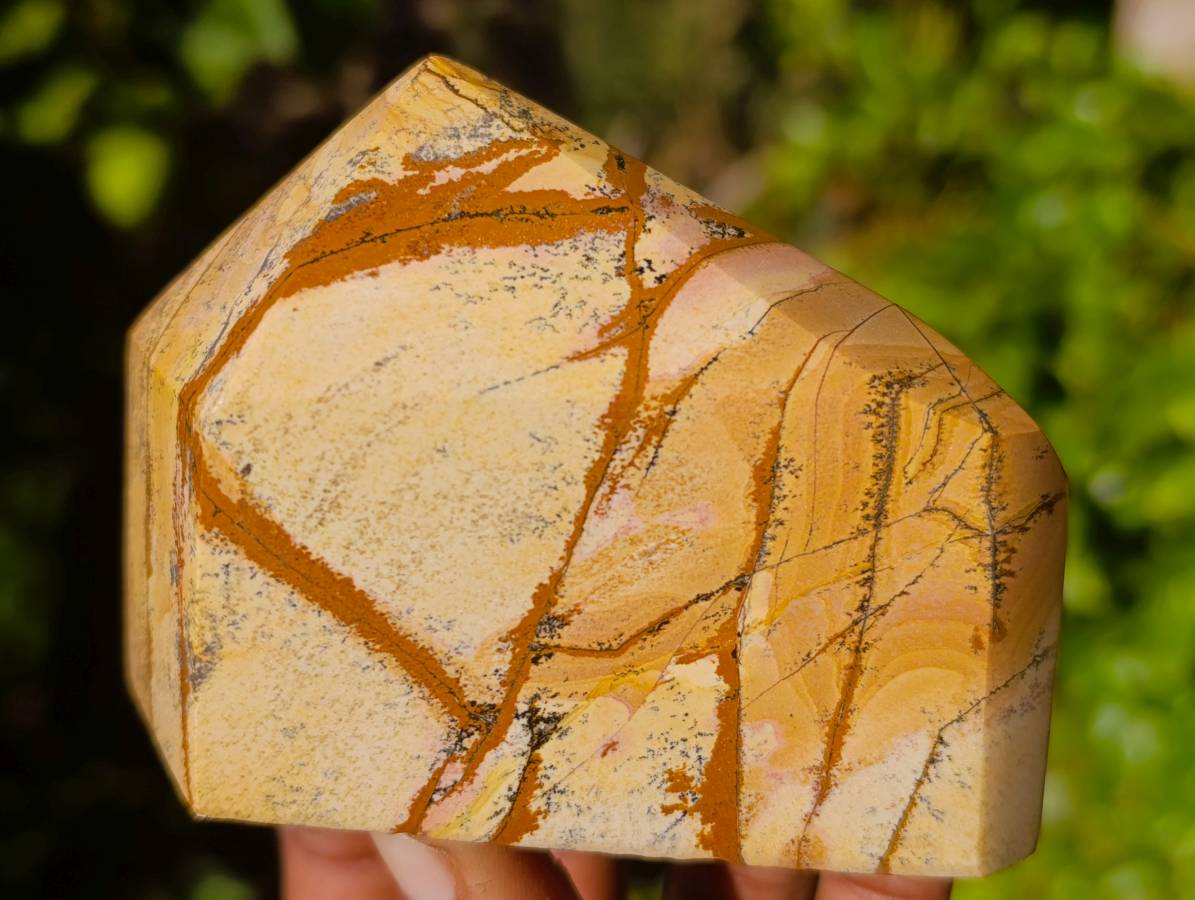 Polished Picture Stone Jasper Points x 3 From Ais-Ais, Namibia - Toprock Gemstones and Minerals 