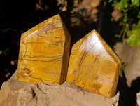 Polished Picture Stone Jasper Points x 3 From Ais-Ais, Namibia - Toprock Gemstones and Minerals 