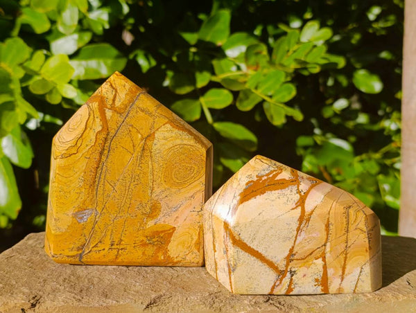 Polished Picture Stone Jasper Points x 3 From Ais-Ais, Namibia