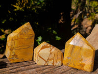 Polished Picture Stone Jasper Points x 3 From Ais-Ais, Namibia - Toprock Gemstones and Minerals 