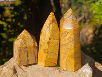Polished Picture Stone Jasper Points x 3 From Ais-Ais, Namibia - Toprock Gemstones and Minerals 