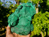 Natural Botryoidal Silky Malachite Specimen x 1 From Congo