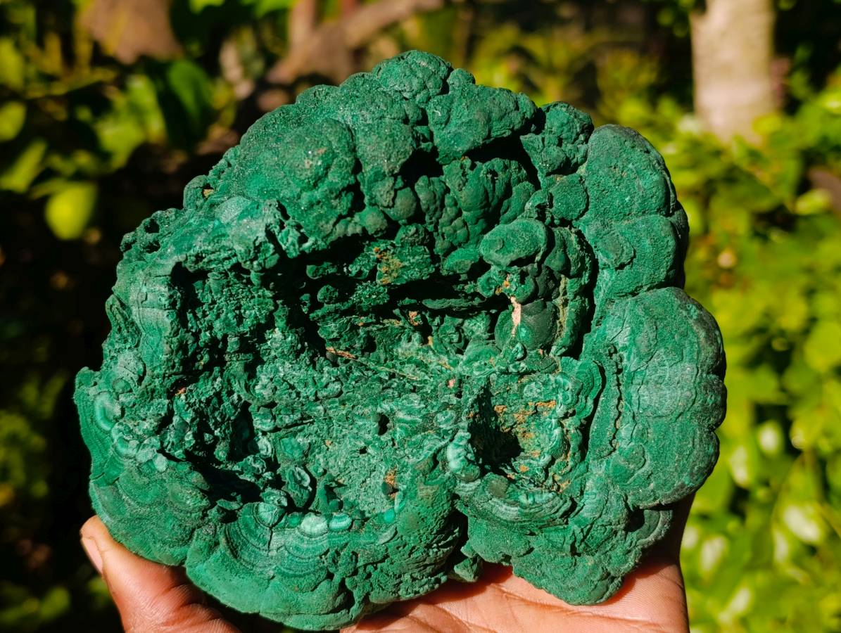 Natural Botryoidal Silky Malachite Specimen x 1 From Congo - Toprock Gemstones and Minerals 