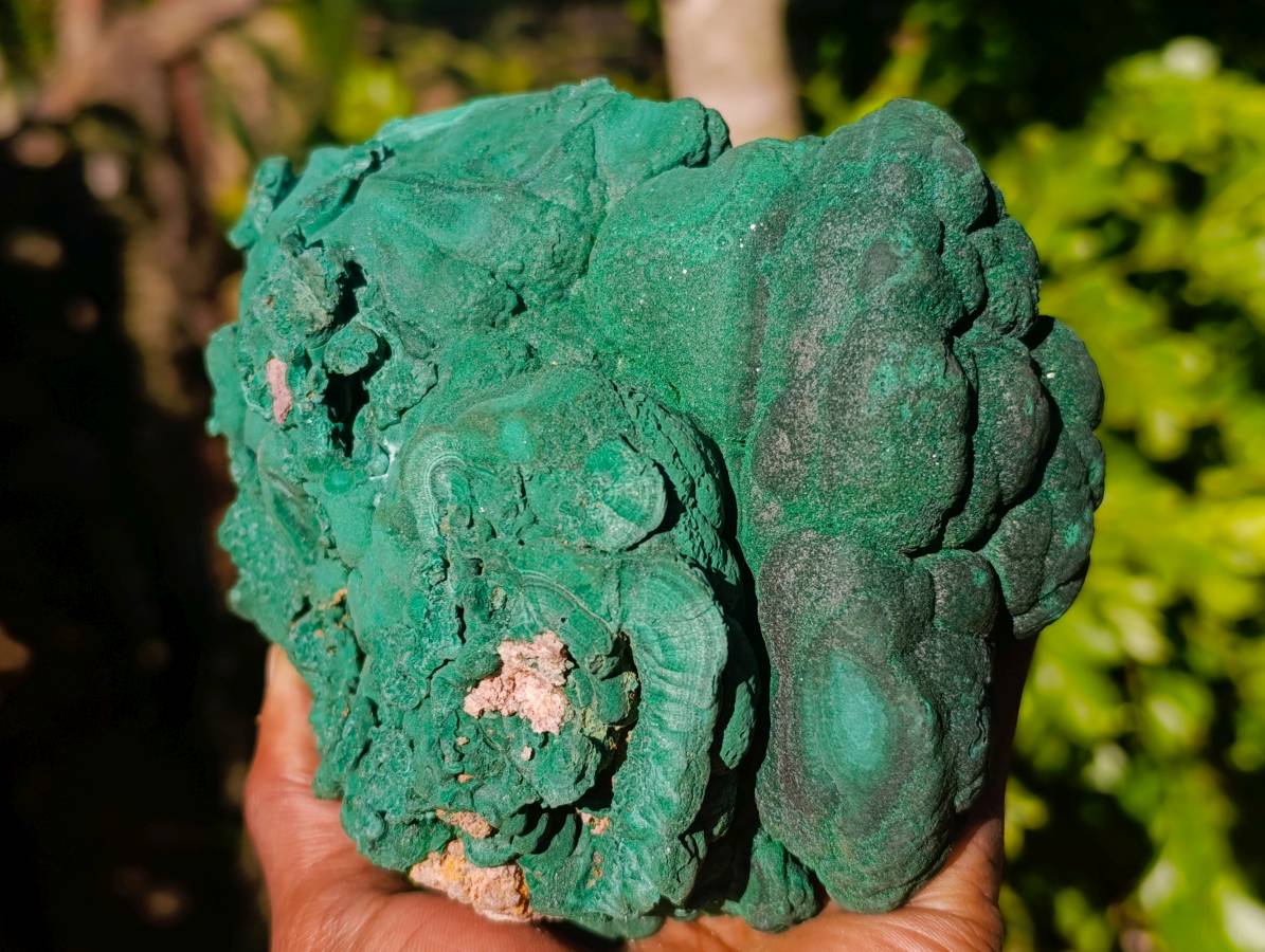 Natural Botryoidal Silky Malachite Specimen x 1 From Congo - Toprock Gemstones and Minerals 