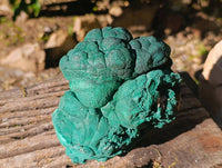 Natural Botryoidal Silky Malachite Specimen x 1 From Congo