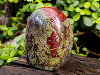 Polished Bastite Dragons Blood Standing Free Form x 1 From Tshipise, South Africa