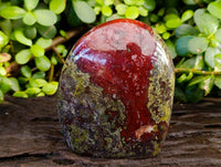Polished Bastite Dragons Blood Standing Free Form x 1 From Tshipise, South Africa