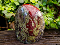 Polished Bastite Dragons Blood Standing Free Form x 1 From Tshipise, South Africa